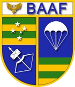 BAAF-removebg-preview